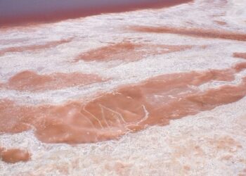 It's official—geologists confirm that what was found under a coal mine is not ordinary coal but a precious and rare mineral