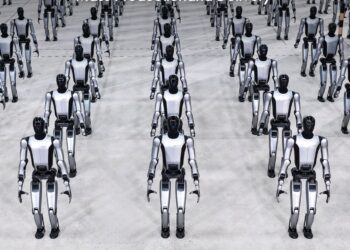 China deploys humanoid robots at border crossings