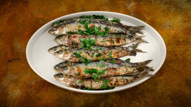 Cardiologists confirm that eating sardines several times a week reduces inflammation and the risk of heart attack 1 Cardiologists confirm that eating sardines several times a week reduces inflammation and the risk of heart attack
