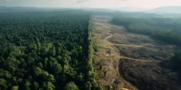 Confirmed by scientists at Earth's Future—planting trees in China is redistributing water on a national scale
