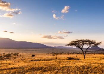 Africa is slowly splitting apart along the East African Rift—a new ocean will eventually form