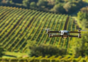 How technology and artificial intelligence are changing the future of California vineyards