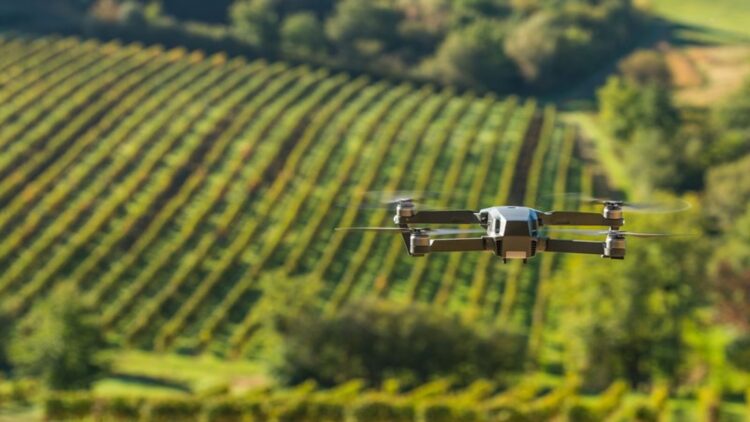How technology and artificial intelligence are changing the future of California vineyards