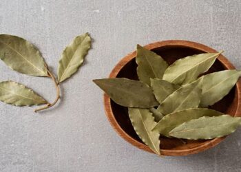 The power of bay leaves and baking soda—a natural duo for cleaning and freshening up