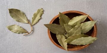 The power of bay leaves and baking soda—a natural duo for cleaning and freshening up