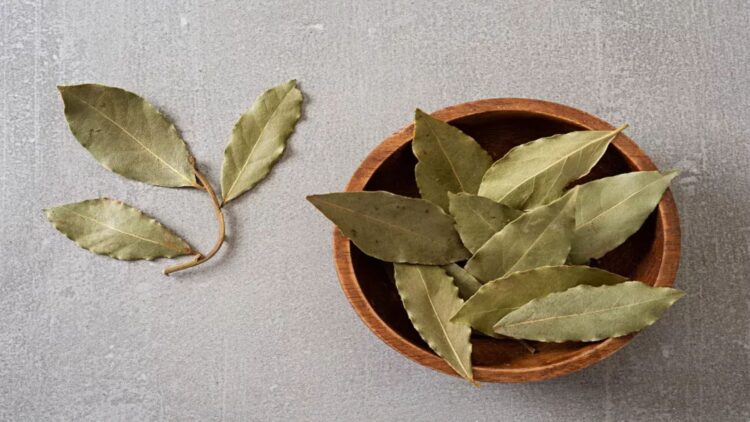 The power of bay leaves and baking soda—a natural duo for cleaning and freshening up