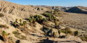 A 4.9 earthquake rattled the Coachella Valley, and scientists say the aftershocks follow a normal pattern