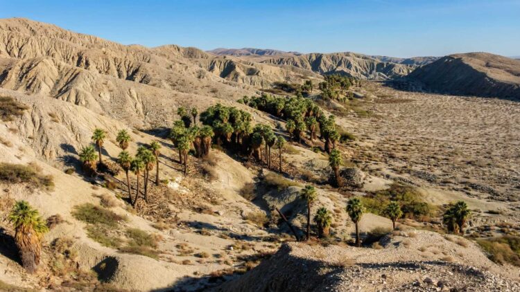 A 4.9 magnitude earthquake shakes the Coachella Valley near Indio, reminding us of the constant activity of California's fault lines 1 A 4.9 earthquake rattled the Coachella Valley, and scientists say the aftershocks follow a normal pattern