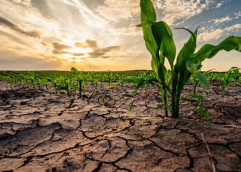 The United Nations declares global water bankruptcy