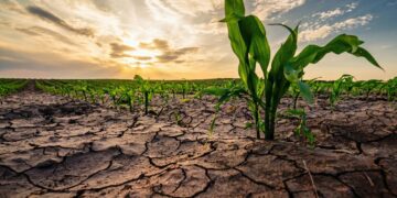 The United Nations declares global water bankruptcy