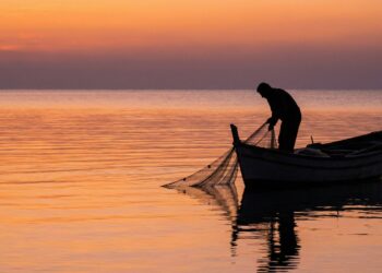 Panama's marine outcrop collapsed in 2025, and scientists had never seen anything like it