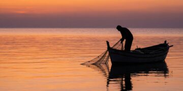 Panama's marine outcrop collapsed in 2025, and scientists had never seen anything like it