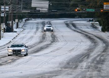 Snowfall recorded in Florida for the second consecutive year—how much snow fell and where?