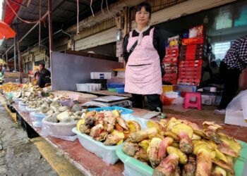 The Lanmaoa asiatica fungus causes identical visions of “little people” in China