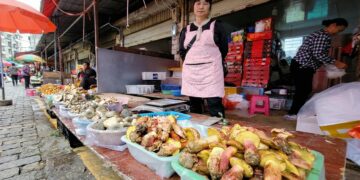 The Lanmaoa asiatica fungus causes identical visions of “little people” in China