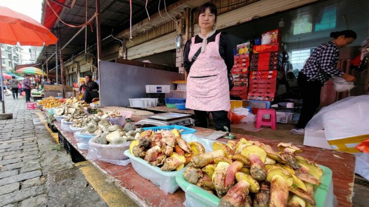 The Lanmaoa asiatica fungus causes identical visions of “little people” in China