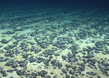It's official—China leads the race for key seabed minerals needed for the energy transition