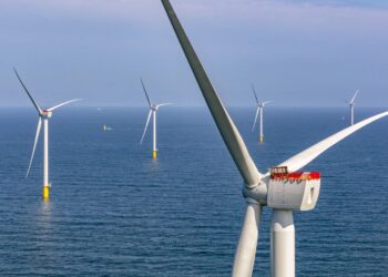 Confirmed by scientists—wind turbines are creating new ecosystems under the sea without anyone noticing