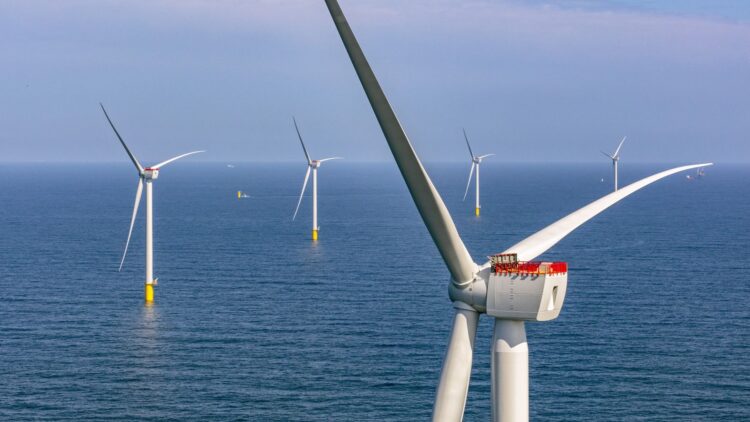 Confirmed by scientists—wind turbines are creating new ecosystems under the sea without anyone noticing