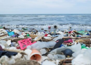 It's official—scientists confirm that coastal animals are living and breeding on plastic in the Pacific