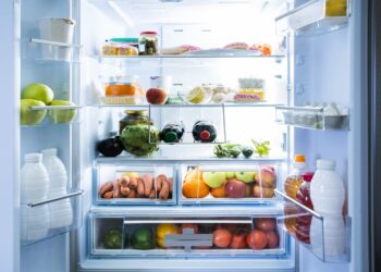 It's official—a food engineer warns that refrigerators accumulate bacteria even when cold and can contaminate food if not cleaned properly