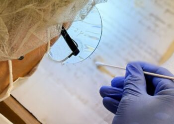 This is how they are trying to discover Leonardo da Vinci's DNA from his artistic legacy