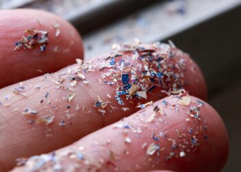 This is the real, homemade method for removing microplastics from water