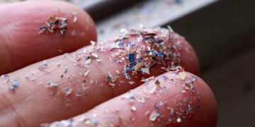 This is the real, homemade method for removing microplastics from water