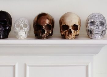 Goodbye to skulls as mere decoration—experts warn of global trade in human remains fueled by TikTok and Instagram