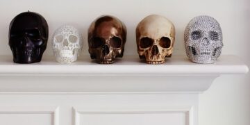 Goodbye to skulls as mere decoration—experts warn of global trade in human remains fueled by TikTok and Instagram
