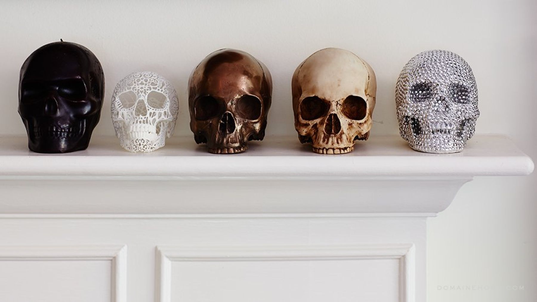 Goodbye to skulls as mere decoration—experts warn of global trade in human remains fueled by TikTok and Instagram