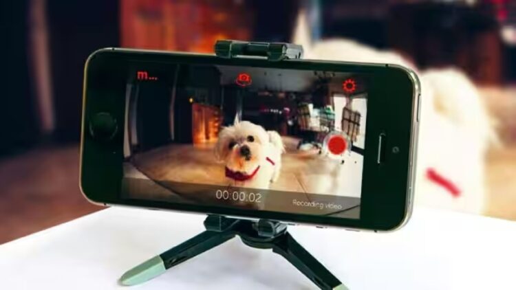 Confirmed—if you have an old smartphone, don't throw it away—you can turn it into a security camera