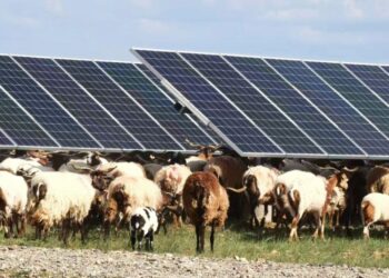 The Tibetan Plateau begins to shed its skin as mega solar parks cool the desert