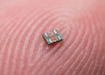 Smaller than a grain of salt—scientists create the world's smallest autonomous robot