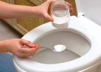 Goodbye to toilet scale—the salt trick that works overnight and changes bathroom cleaning