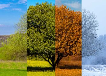 Goodbye to the four seasons—scientists say the cycles have changed