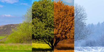 Goodbye to the four seasons—scientists say the cycles have changed