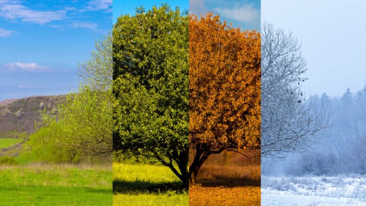 Researchers at the University of York and the London School of Economics argue that climate change is disrupting the classic seasonal calendar on Earth 1 Goodbye to the four seasons—scientists say the cycles have changed