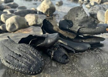 Over 400 Victorian-era boots have surfaced on the Bristol Channel coast