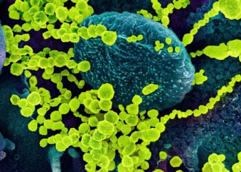 NASA ‘cultivates’ viruses in space