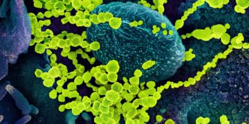 NASA ‘cultivates’ viruses in space