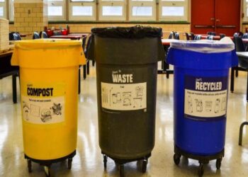 No more throwing leaves in the regular trash—Washington mandates use of a third organic waste bin and payment for the new service