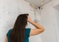 Goodbye to skyrocketing energy bills in the United States—architects recommend aluminum foil on walls, and the savings may surprise you—here's how to install it