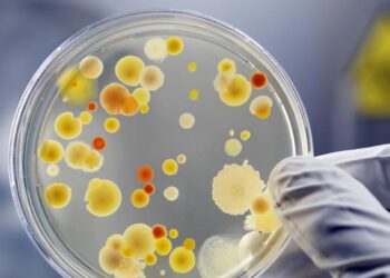 It's official—scientists have revived bacteria from 5,000 years ago and believe it could help fight superbugs—it could combat superbugs, and the risk is concerning