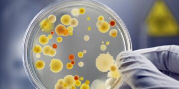 It's official—scientists have revived bacteria from 5,000 years ago and believe it could help fight superbugs—it could combat superbugs, and the risk is concerning