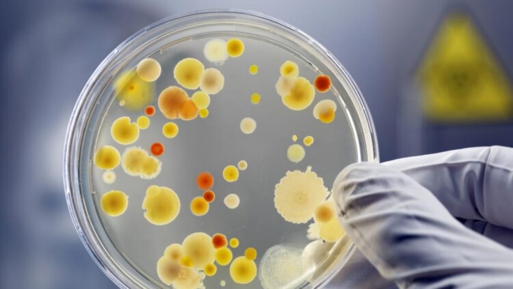 It's official—scientists have revived bacteria from 5,000 years ago and believe it could help fight superbugs—it could combat superbugs, and the risk is concerning