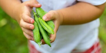 Confirmed by pediatricians—this inexpensive and overlooked food reduces the future risk of diabetes and heart disease