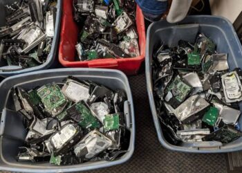 Confirmed by scientific studies—chemicals from electronic waste reach dolphins and porpoises and change what you knew about marine pollution