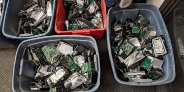 Confirmed by scientific studies—chemicals from electronic waste reach dolphins and porpoises and change what you knew about marine pollution