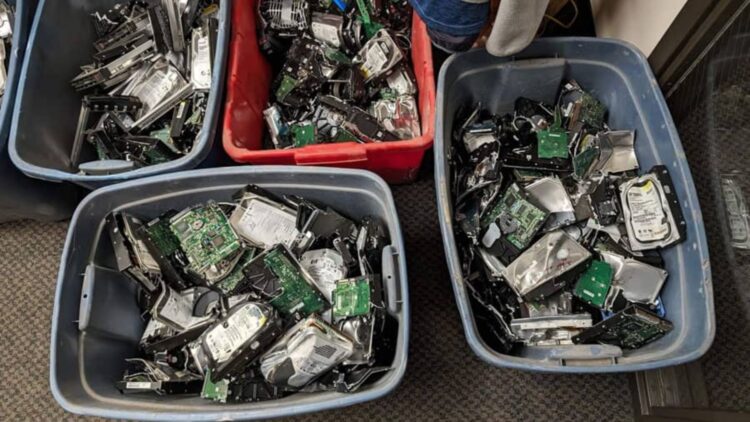 Confirmed by scientific studies—chemicals from electronic waste reach dolphins and porpoises and change what you knew about marine pollution